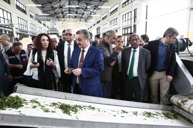 Çaykur, Pakistan'da çay fabrikası açtı